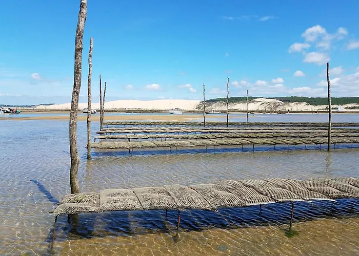 De Standing 8 Pers, Hyper Centre Arcachon, Balcon, Parking Prive, Proche Plages Et Gare - Fr-1-474-28 아파트